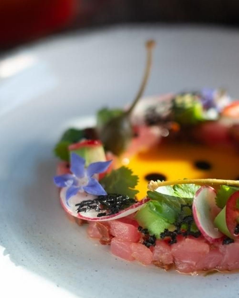Reference image: a raw fish first course, plated precisely
